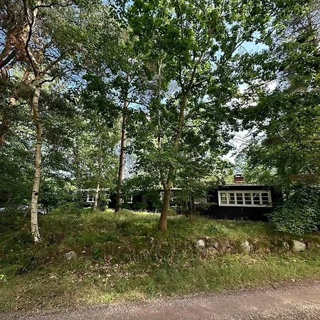 Swedish Inspired Near Nyord On Mon *